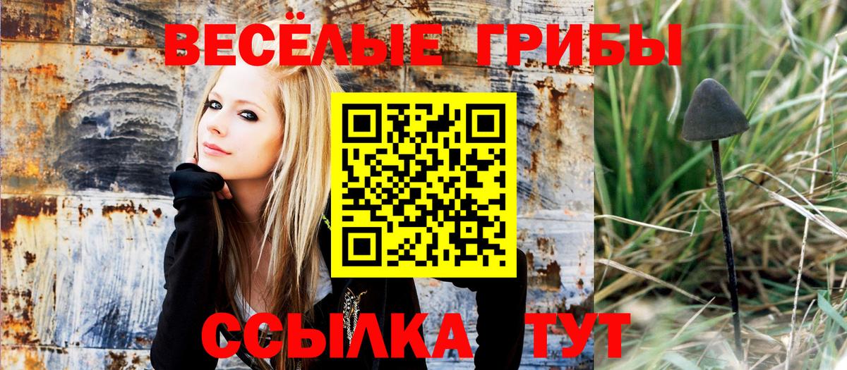 Крымск  Галлюциногенные грибы GOLDEN TEACHER  Вход с VPN 